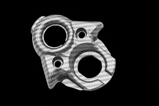 Surron carbon ignition cover